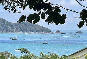 浅水湾第 57 张图片
