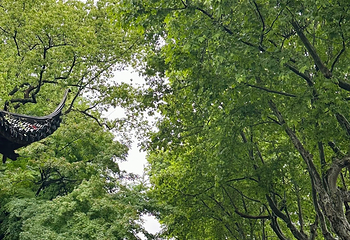 西湖风景名胜区第 338 张图片