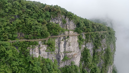 天门山国家森林公园第 230 张图片
