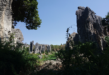 石林风景区第 153 张图片
