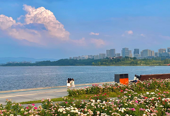 兴隆湖湿地公园第 21 张图片