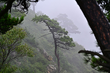 恒山第 80 张图片