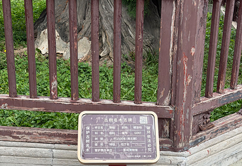 晋祠博物馆第 481 张图片