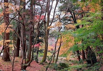 成田山公园第 14 张图片