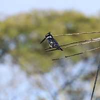 Harare Botanical Gardens