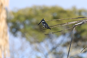 Harare Botanical Gardens
