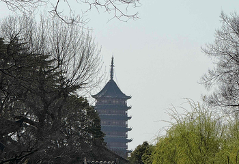 拙政园第 411 张图片