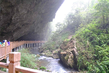 张家界大峡谷第 50 张图片