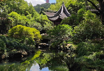惠山古镇·寄畅园第 148 张图片