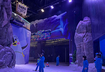 阿尔卑斯雪世界第 328 张图片