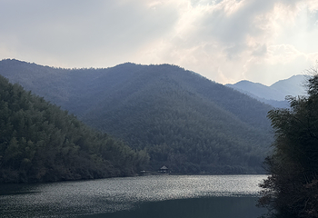天目湖南山竹海第 161 张图片