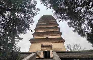 小雁塔遗址公园第 54 张图片