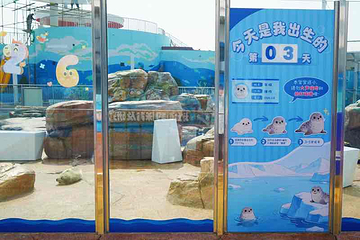 海合安青岛极地海洋公园第 182 张图片