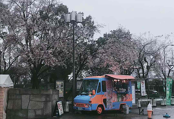 大阪城公园第 247 张图片