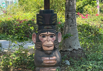 南湾猴岛生态旅游区第 114 张图片