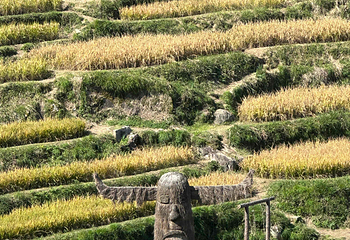 云和梯田景区第 64 张图片
