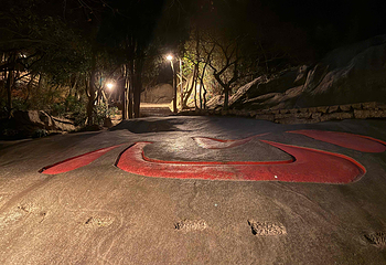 普陀山风景区第 405 张图片