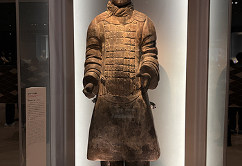 秦始皇帝陵博物院(兵马俑)第 217 张图片