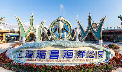 上海海昌海洋公园第 289 张图片