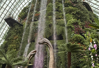 新加坡滨海湾花园第 363 张图片