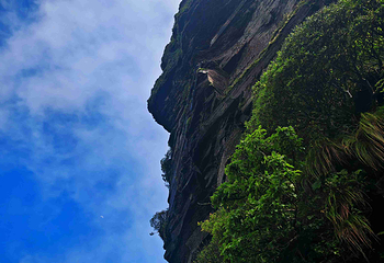 梵净山第 208 张图片