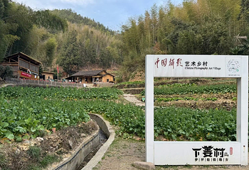 下姜村第 12 张图片