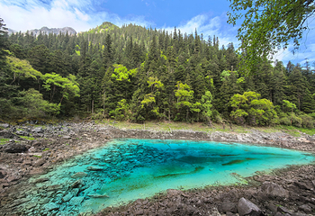 九寨沟风景区第 81 张图片