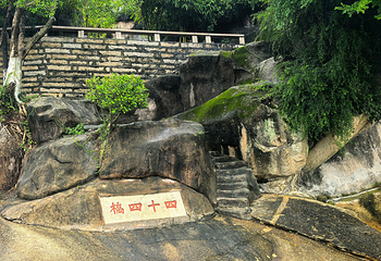 菽庄花园第 57 张图片