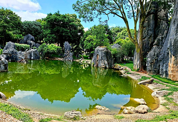 石林风景区第 61 张图片