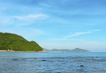 小东海第 50 张图片