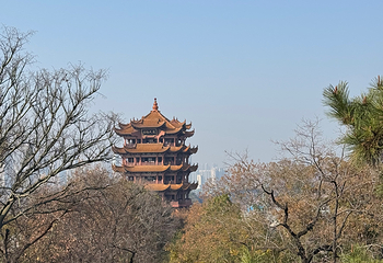 黄鹤楼第 245 张图片