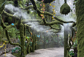 芙蓉镇第 124 张图片