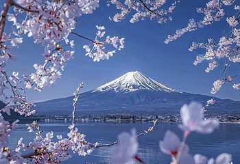 富士山第 82 张图片