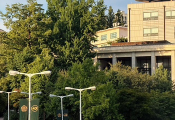 梨花女子大学第 66 张图片