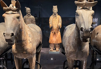 秦始皇帝陵博物院(兵马俑)第 188 张图片