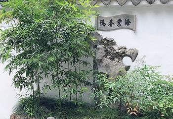 拙政园第 180 张图片