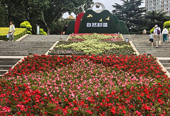 劳动公园第 9 张图片