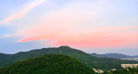 临春岭森林公园第 45 张图片
