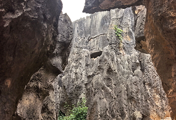 石林风景区第 253 张图片