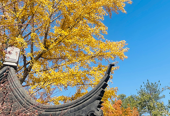 天平山第 56 张图片