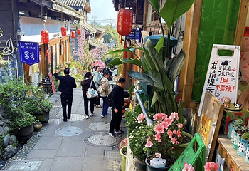 都江堰西街第 18 张图片