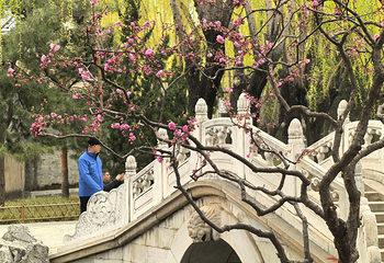 北京大观园第 27 张图片
