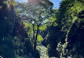 武夷山国家公园第 143 张图片