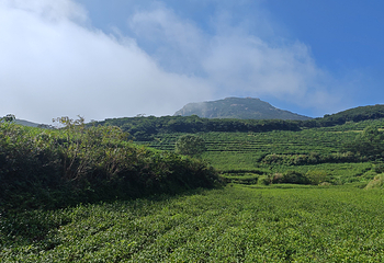 大嵛山岛第 26 张图片