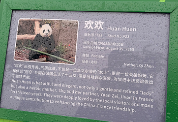成都大熊猫繁育研究基地第 347 张图片