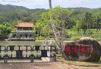 三亚南山文化旅游区第 79 张图片