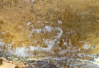 巴马水晶宫第 34 张图片