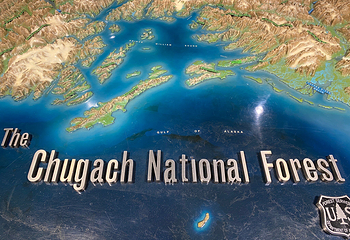 Begich Boggs Visitor Center第 12 张图片