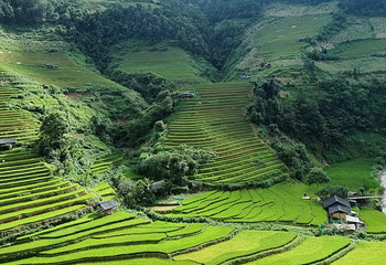 Pu Luong Nature Reserve第 4 张图片
