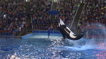 圣安东尼奥海洋生物馆